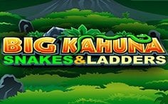 Big Kahuna - Snakes & Ladders