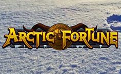 ARCTIC-FORTUNE