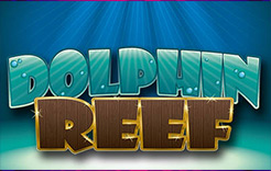 Dolphin Reef