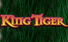 king tiger